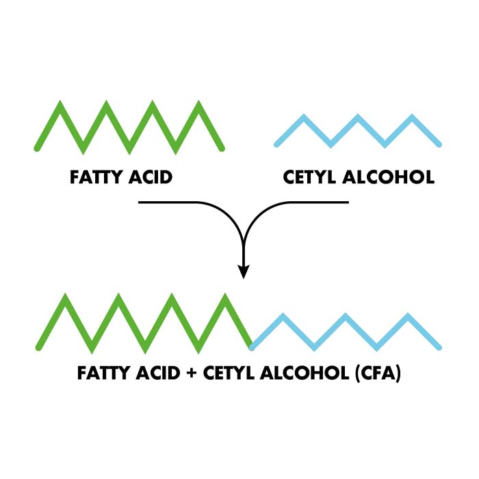 Cetylated Fatty Acids Cetilar